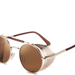 FEISEDY Steam Punk Sunglasses for Men Women Side Shield Round Steampunk Vintage Glasses Shades B2518